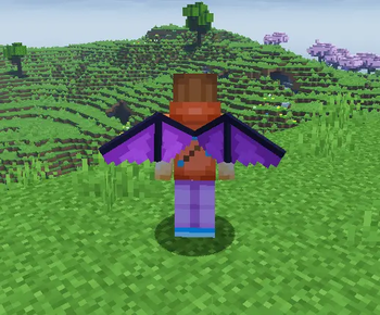 Wings on player