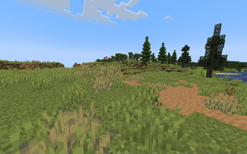 A prairie up-close