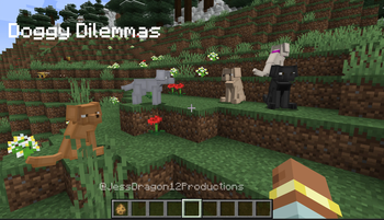 Labradors