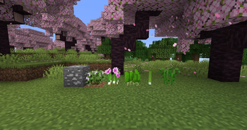 Natural spawn 