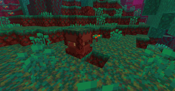 Nether shulker