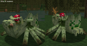 Boggy Cave Spiders in swamps!