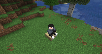 Hey you, Sit!