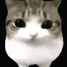 Dam Dam Di DI Di Cat totem