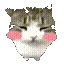 Dam Dam Di DI Di Cat totem — screenshot 2
