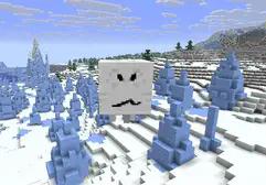 The Gubby in the freezing ice