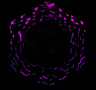 Space Remix