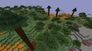 Biomes