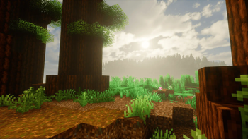 red wood