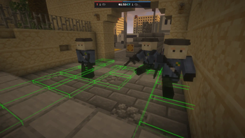 CT spawn