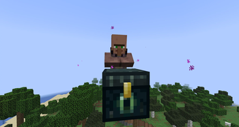 EndVillager profession Screenshot 2