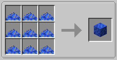coral fan -> coral block