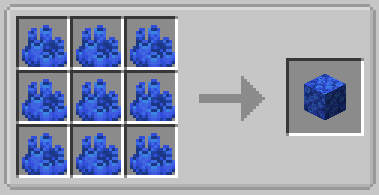 coral -> coral block