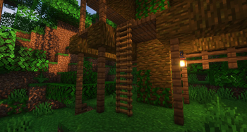 3D Ladders