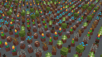 Potted Plants
