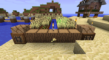 Wheat