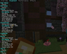 players info
