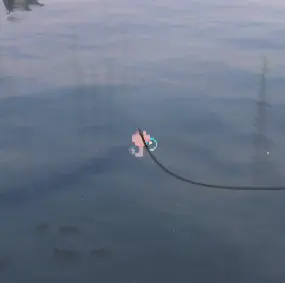 pink heart fishing hook — screenshot 1