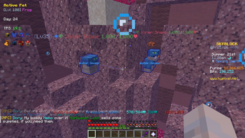 Mob Visuals 2