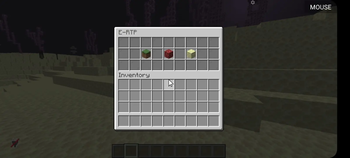 RTP GUI
