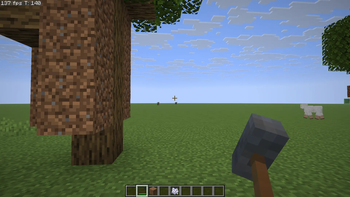 First-Person view