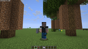 Third-Person view