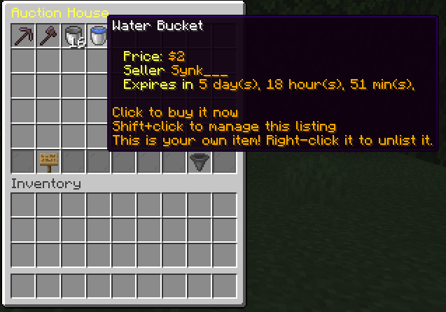Auction House item layout
