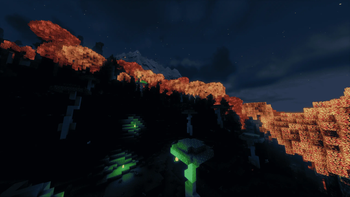 Another Strange Forest at night