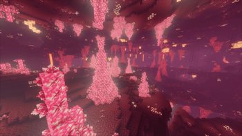 Spikes Nether biome
