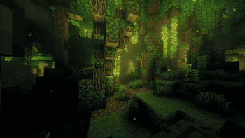 Ancient Forest at night