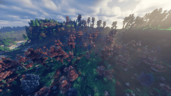 Strange Forest