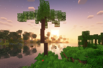 A cozy scenery