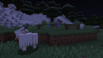 2 deer