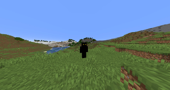 Entity E