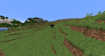 Hidden Entity