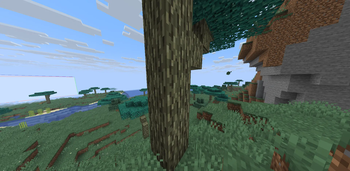Aether Wood