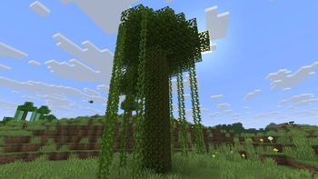 A Jungle Tree we want to mine