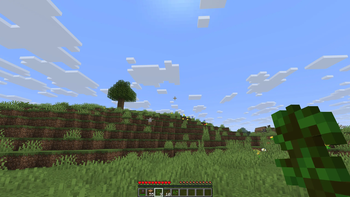 The saplings we got back (9)