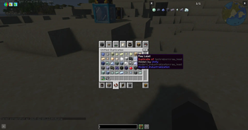 Duplicate Item
