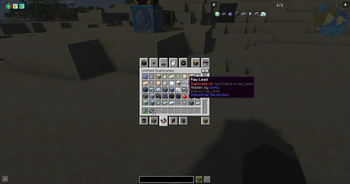 Duplicate Item