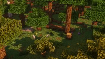 Forest (Solas Shader)