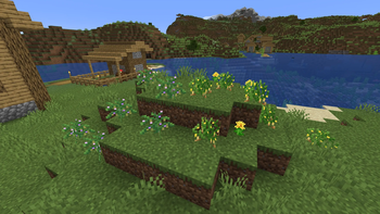 Wild Beans and Peanuts