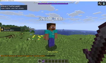 GAMEPLAY-During the game