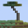 Winter Biomes