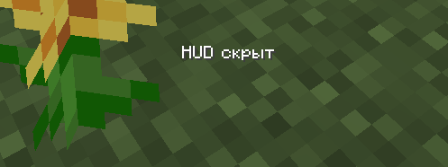 Hidden HUD and Hotbar in-game