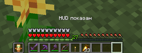 Standard HUD