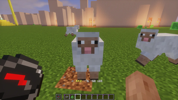 How the coords look
