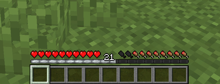 White Exp Bar | CEB — screenshot 1