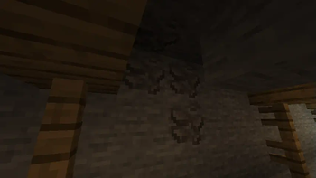Tin ore