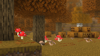 Oak Forest, Mushrooms, Pumpkins